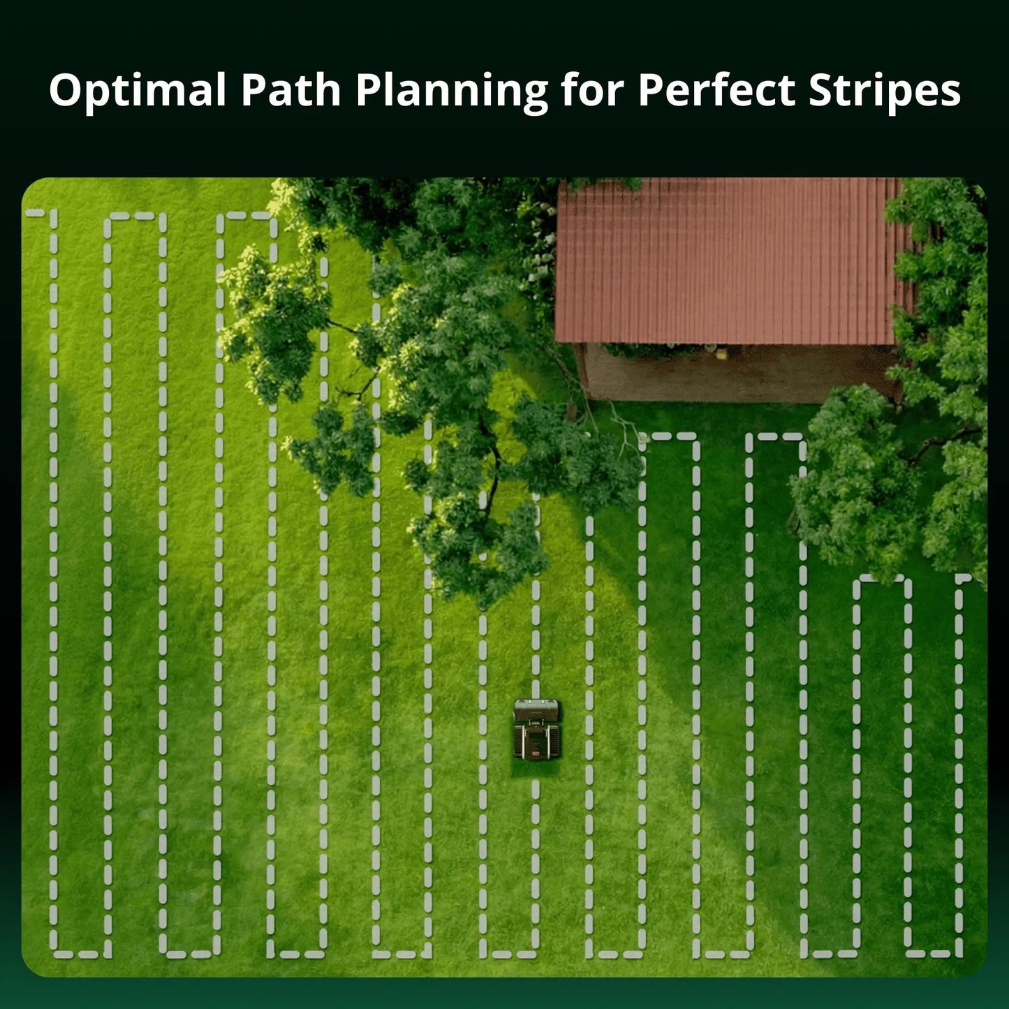 Overhead view of systematic mowing lines planned by the Lymow One Plus around trees